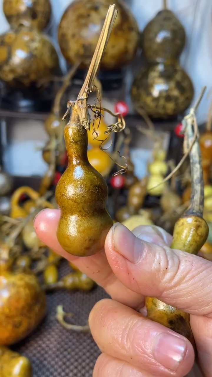 【闪购商品】葫芦葫芦葫芦葫芦葫芦