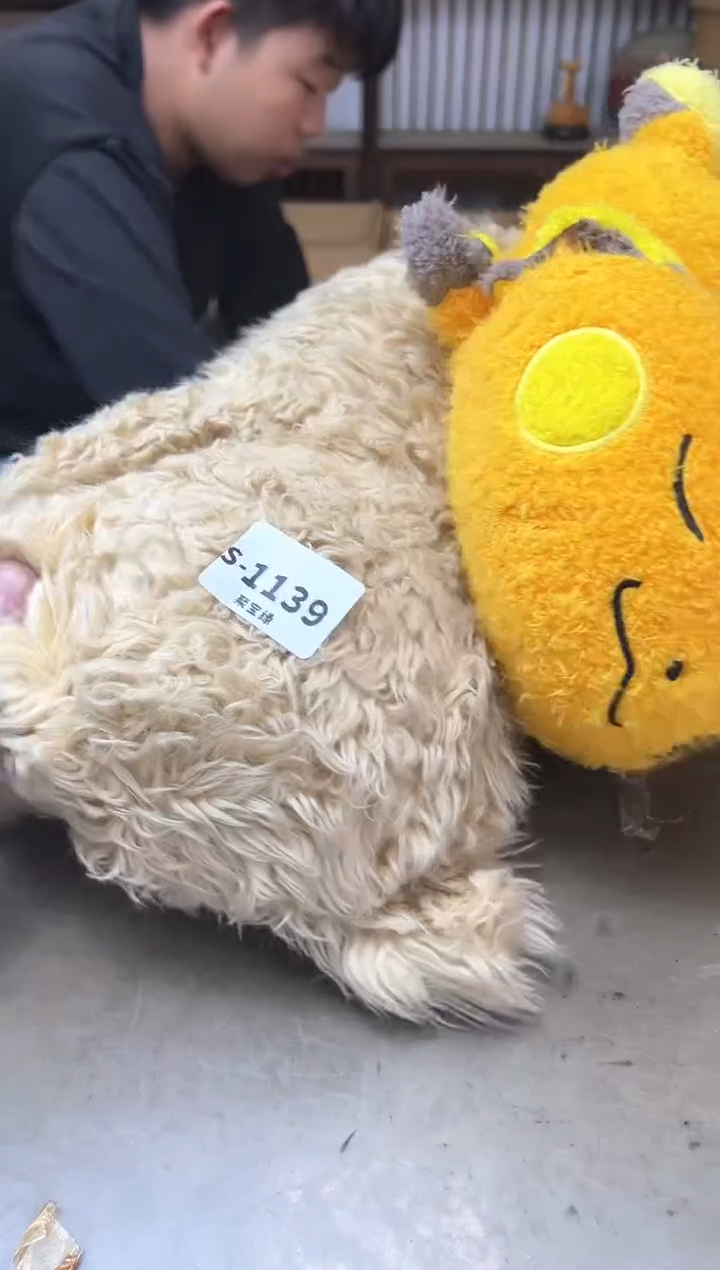 瓷片1139聚宝缘海淘精选