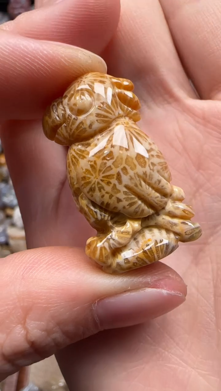 【闪购商品】硅化珊瑚（珊瑚玉）颈饰未镶嵌905