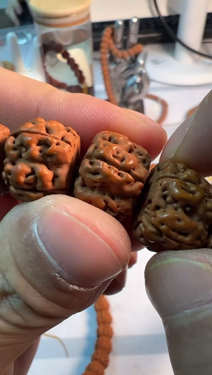 【闪购商品】金刚菩提手串盘龙王尺寸15-18