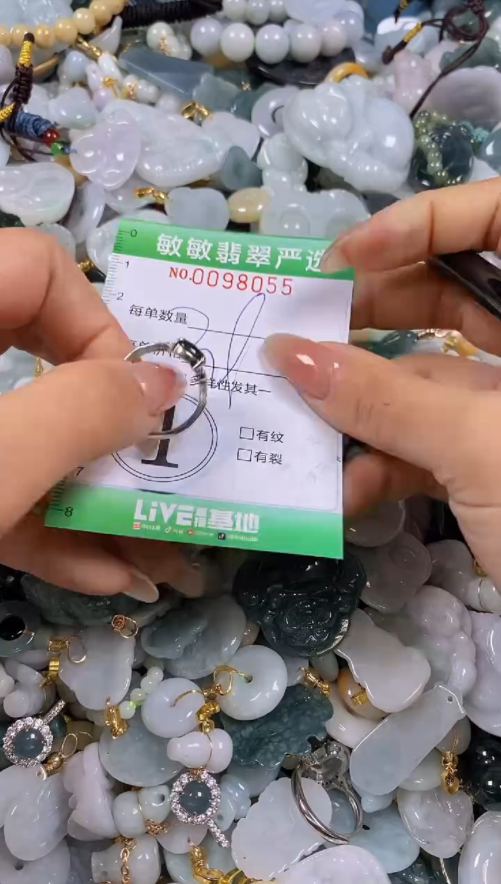 【闪购商品】翡翠颈饰未镶嵌闪购0098055