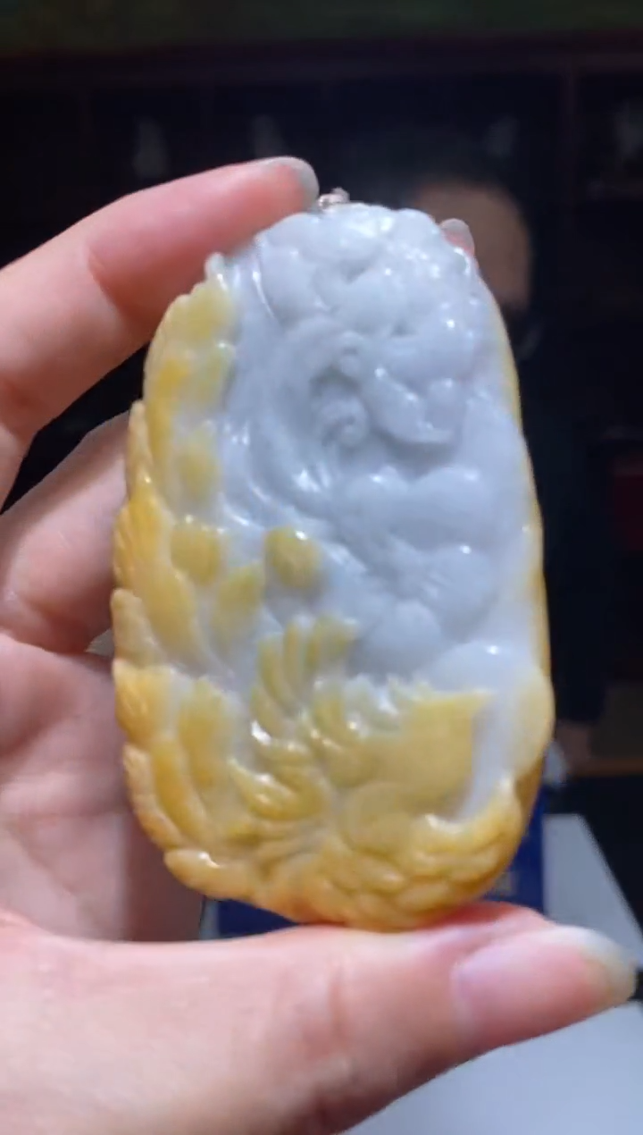 【闪购商品】翡翠颈饰未镶嵌B-@@LSFC02030048