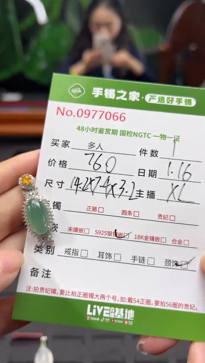 【闪购商品】翡翠颈饰银S925镶嵌多人