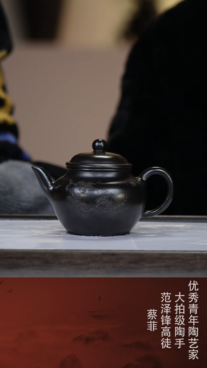 【闪购商品】紫砂茶壶蔡菲90-13 克拉玛依黑170cc