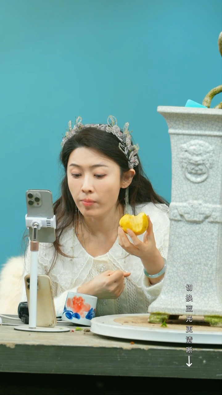 【闪购商品】盆景三角梅盆景