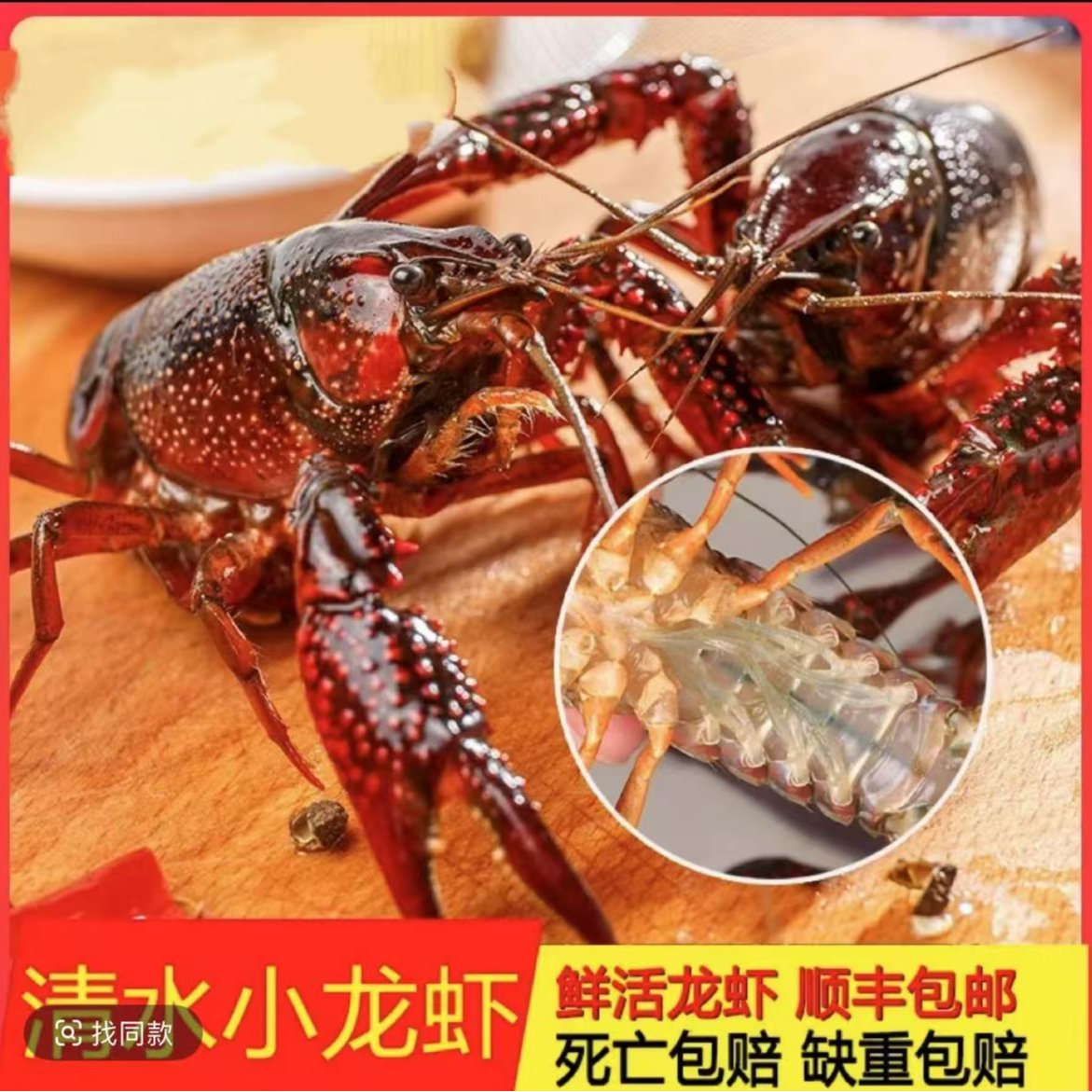 G【2025年新虾】4斤大青买三斤送一斤到手小龙虾鲜活水产清水活虾稻田淡水虾特大龙虾海鲜精品