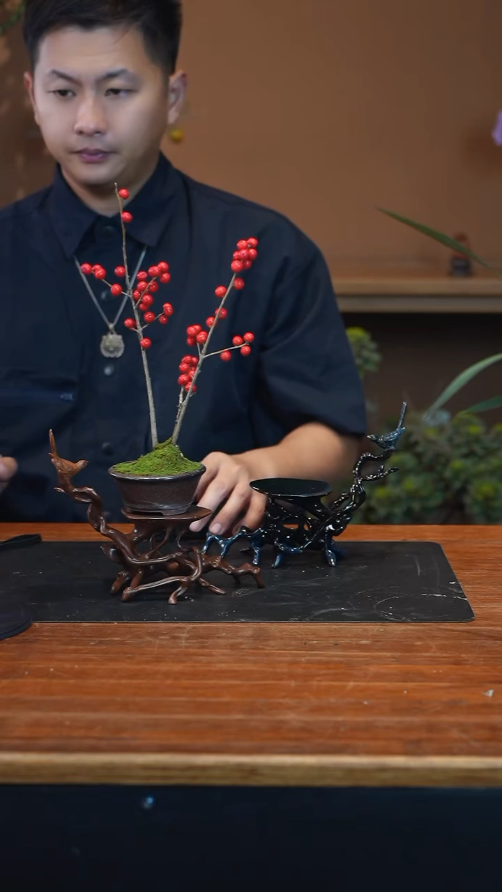 全部花朵冬青盆景盆景盆景