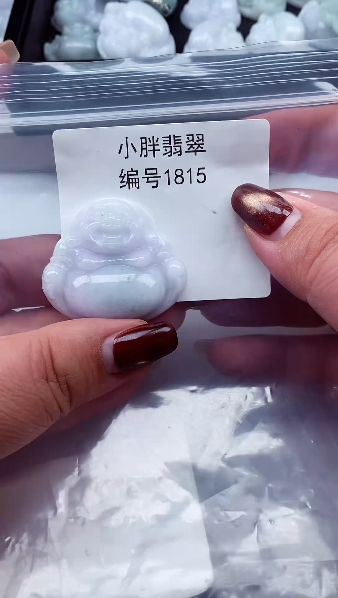 颈饰未镶嵌翡翠缅甸天然A货翡翠1815