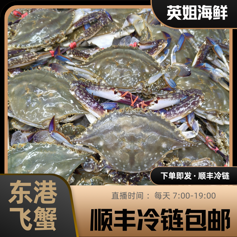 【正宗】东港小公蟹4斤【仅限沈阳市内三环】单只2两左右【保鲜不保活】