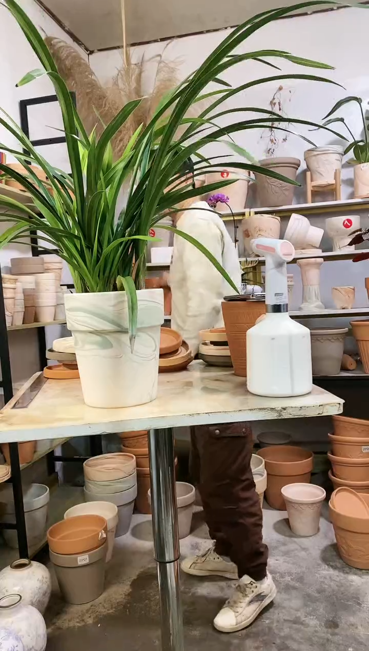 【闪购商品】红陶18*21绿白陶 1盆无托