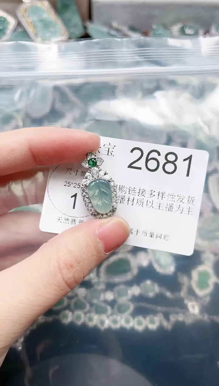 【闪购商品】翡翠颈饰未镶嵌2681赠皮绳