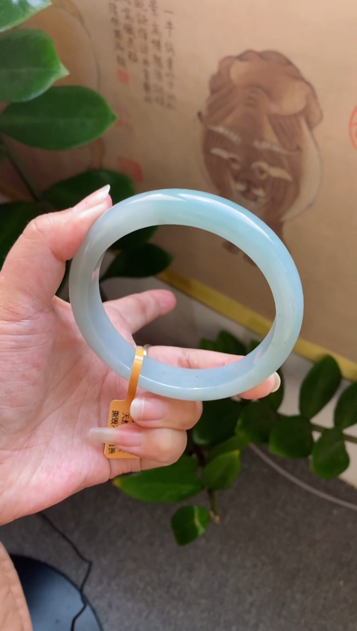 【闪购商品】翡翠手镯未镶嵌（无棉 冰胶）63圈口8号