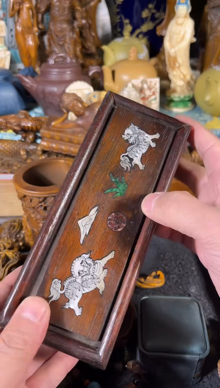 黄杨木1111111111111111111