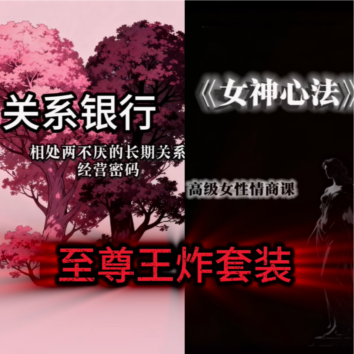《女神心法》+《关系银行》王炸套装 女性兴趣生活社交课