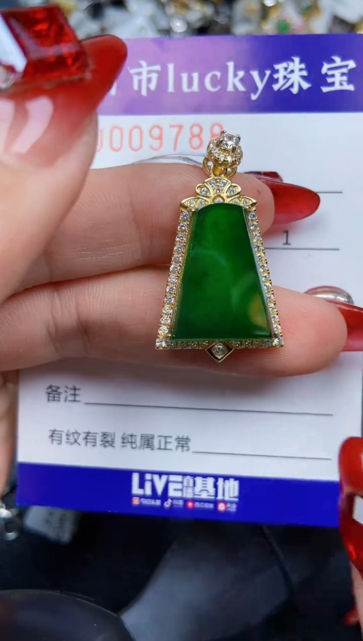 【闪购商品】翡翠颈饰银S925镶嵌9788