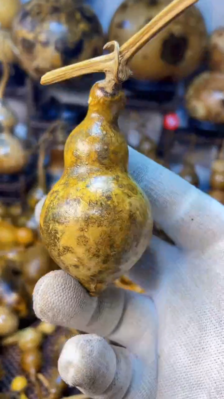 【闪购商品】葫芦葫芦葫芦葫芦