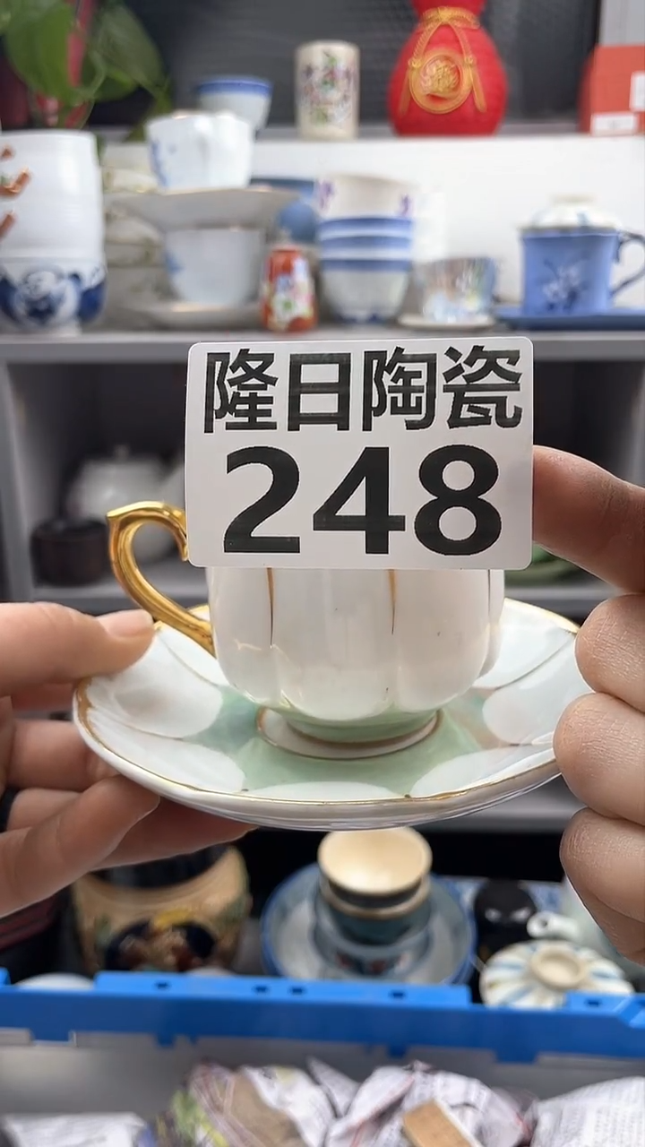 【闪购商品】瓷片248longritaoci