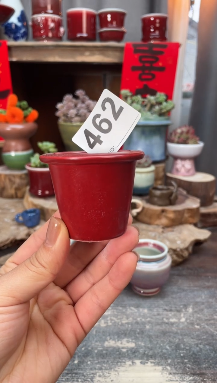 【闪购商品】摆件462知木小芳花盆