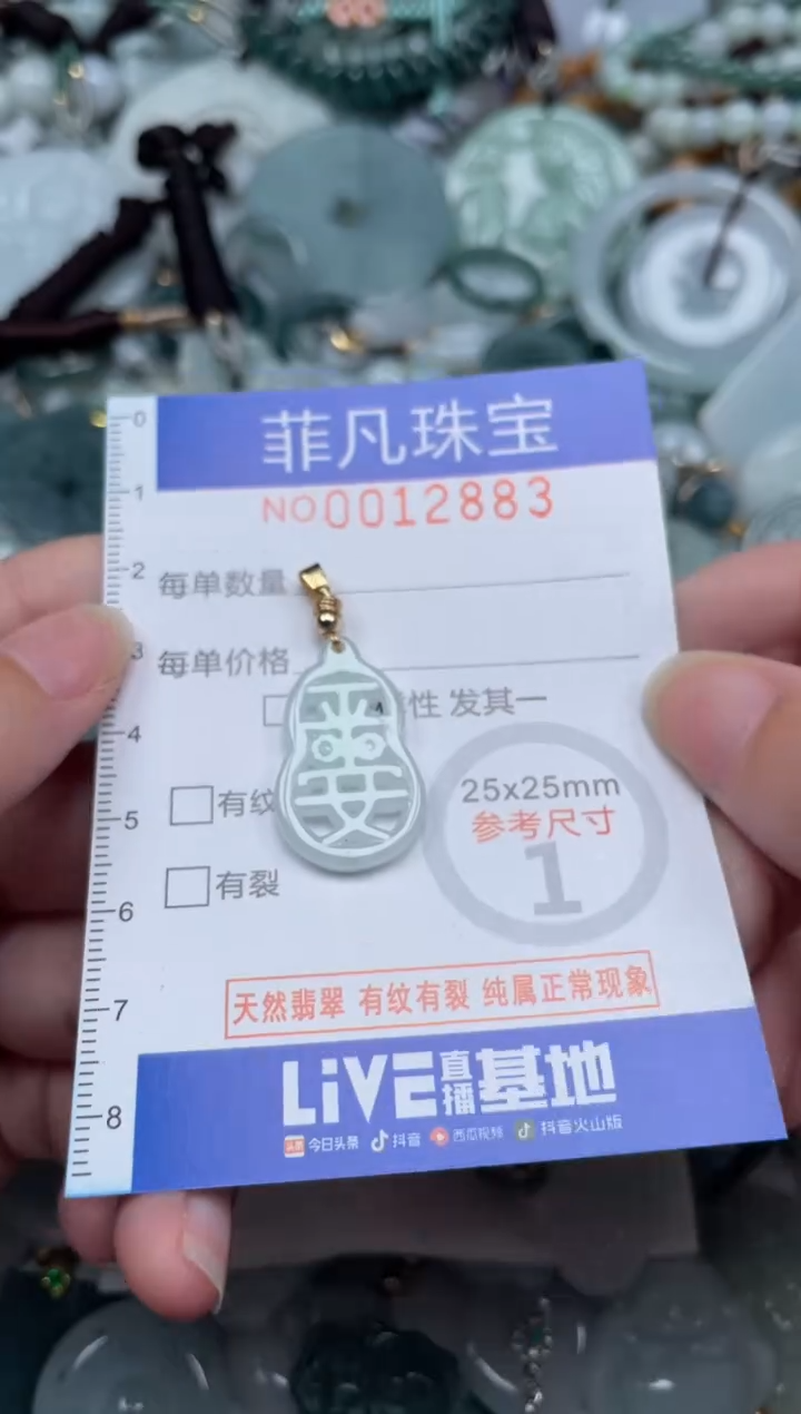 颈饰未镶嵌翡翠12883