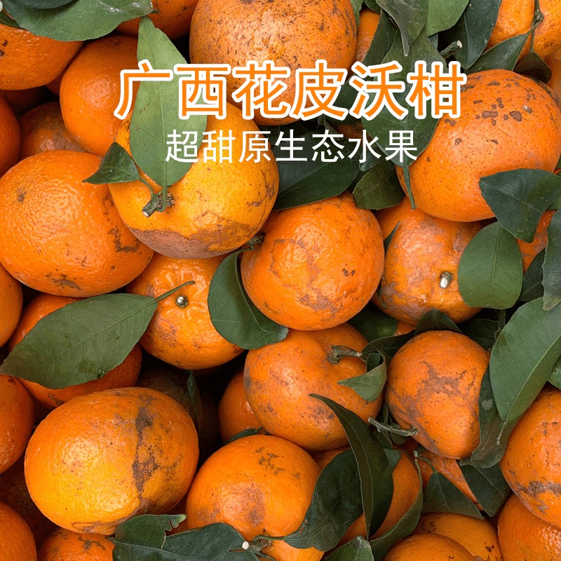 广西武鸣沃柑花皮果当季新鲜水果皮薄多汁香甜柑橘坏果包赔