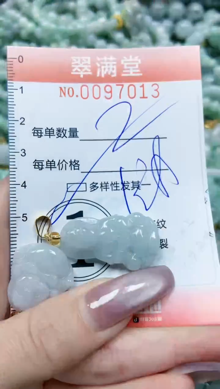 【闪购商品】翡翠颈饰未镶嵌闪购0097013多样性发其一