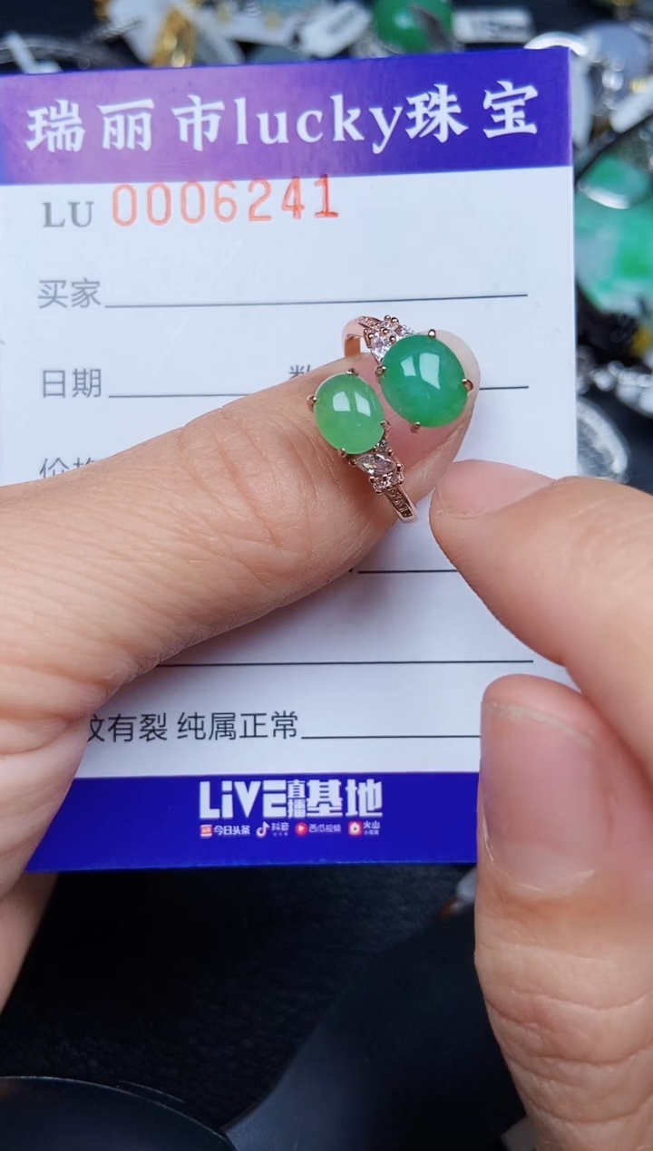翡翠银S925镶嵌颈饰6241