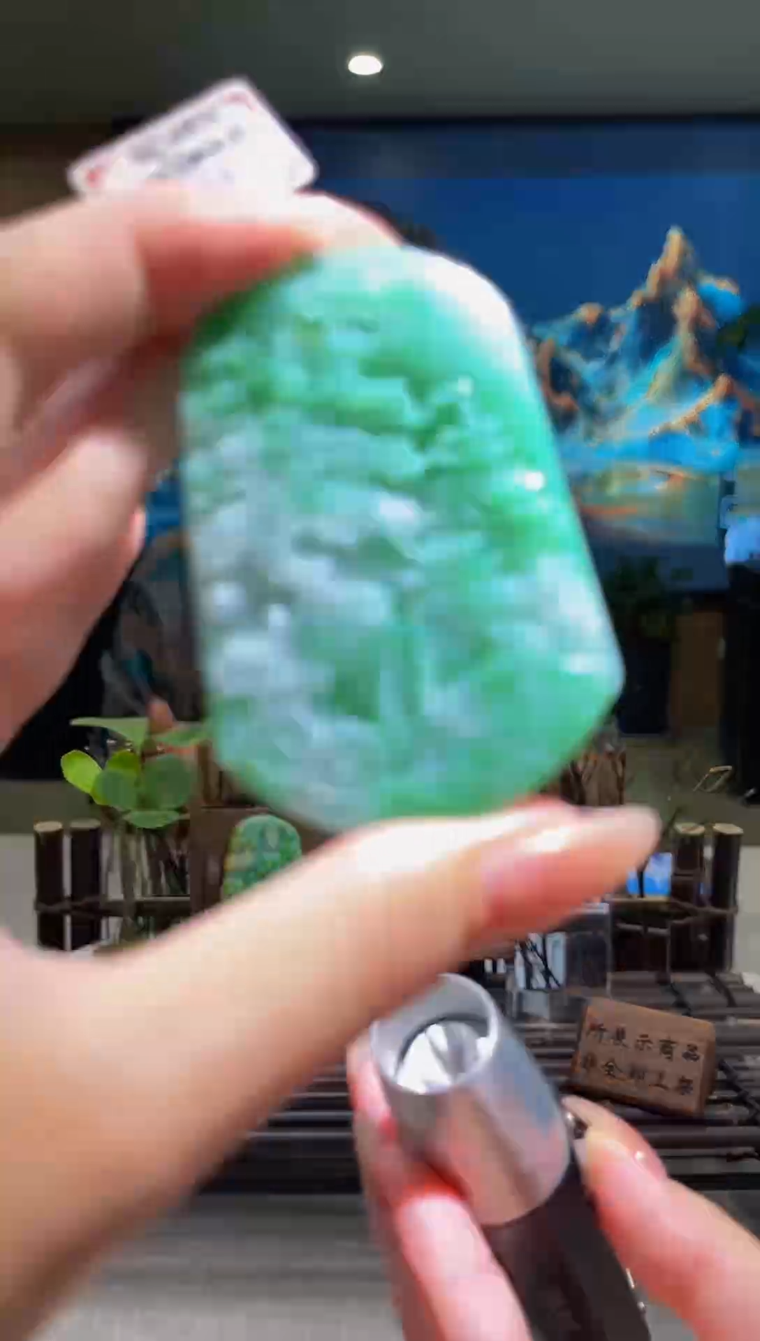 翡翠未镶嵌颈饰MFC060991