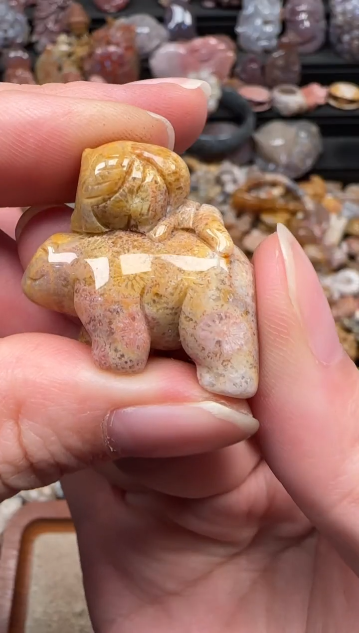 颈饰未镶嵌硅化珊瑚（珊瑚玉）147