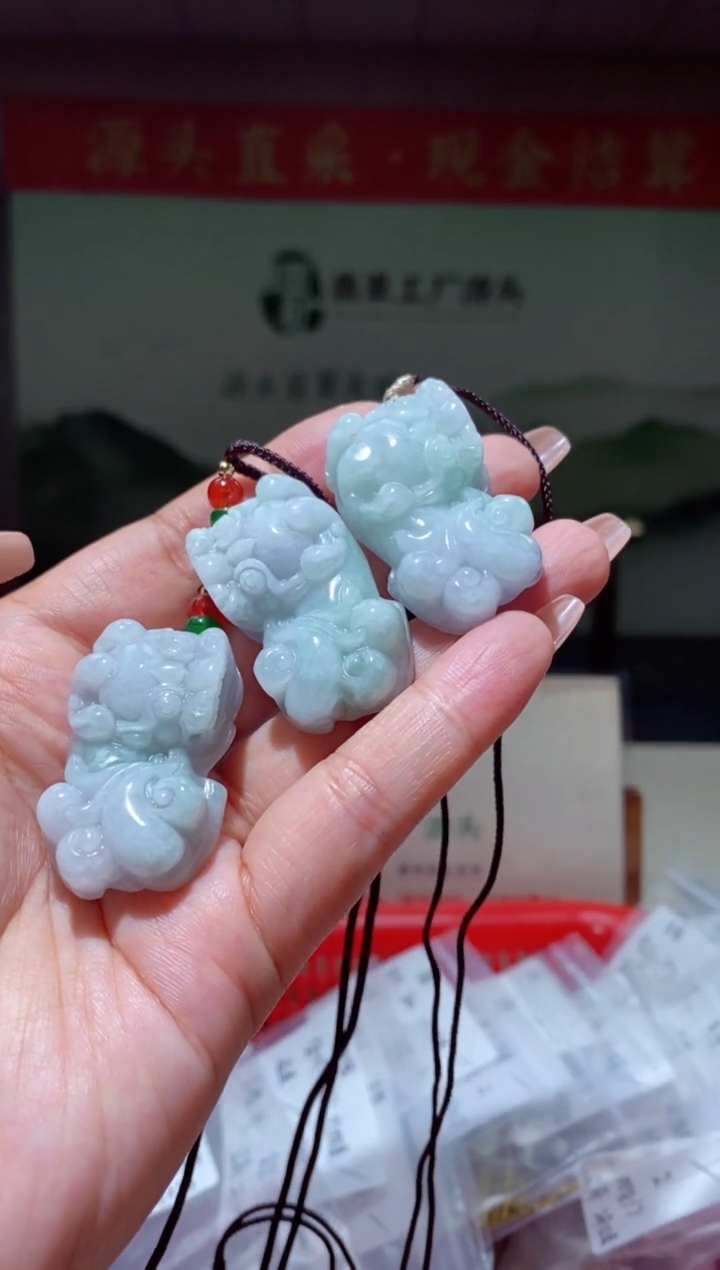 【闪购商品】翡翠颈饰未镶嵌翡翠226004