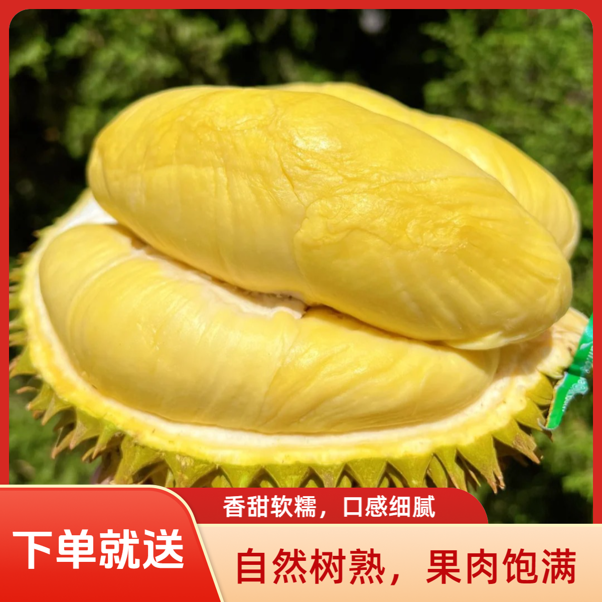 双A级金枕榴莲现开纯肉【青岛同城】泰国树熟金枕核小肉厚新鲜现开纯果肉1-3斤金枕泰国