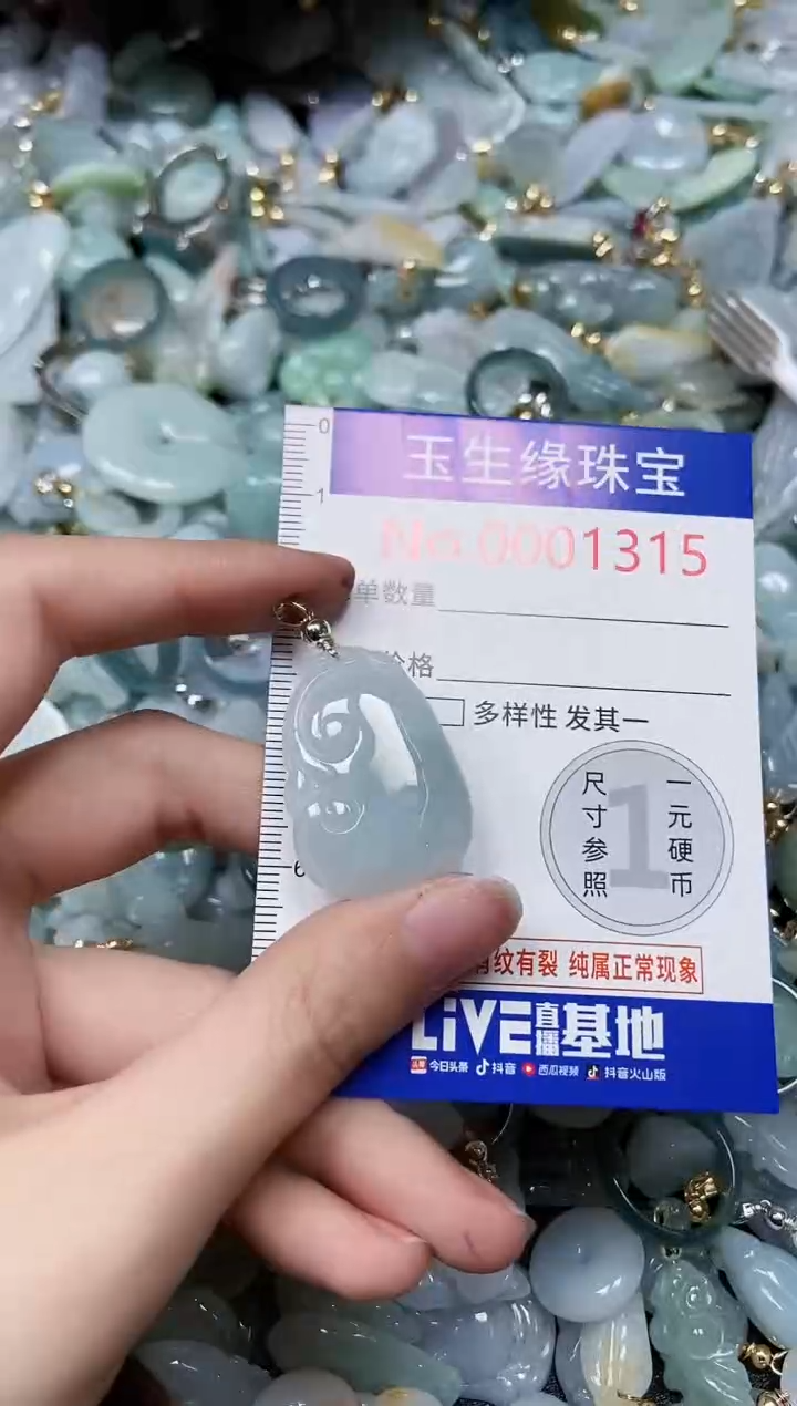 【闪购商品】翡翠颈饰未镶嵌闪购00001315