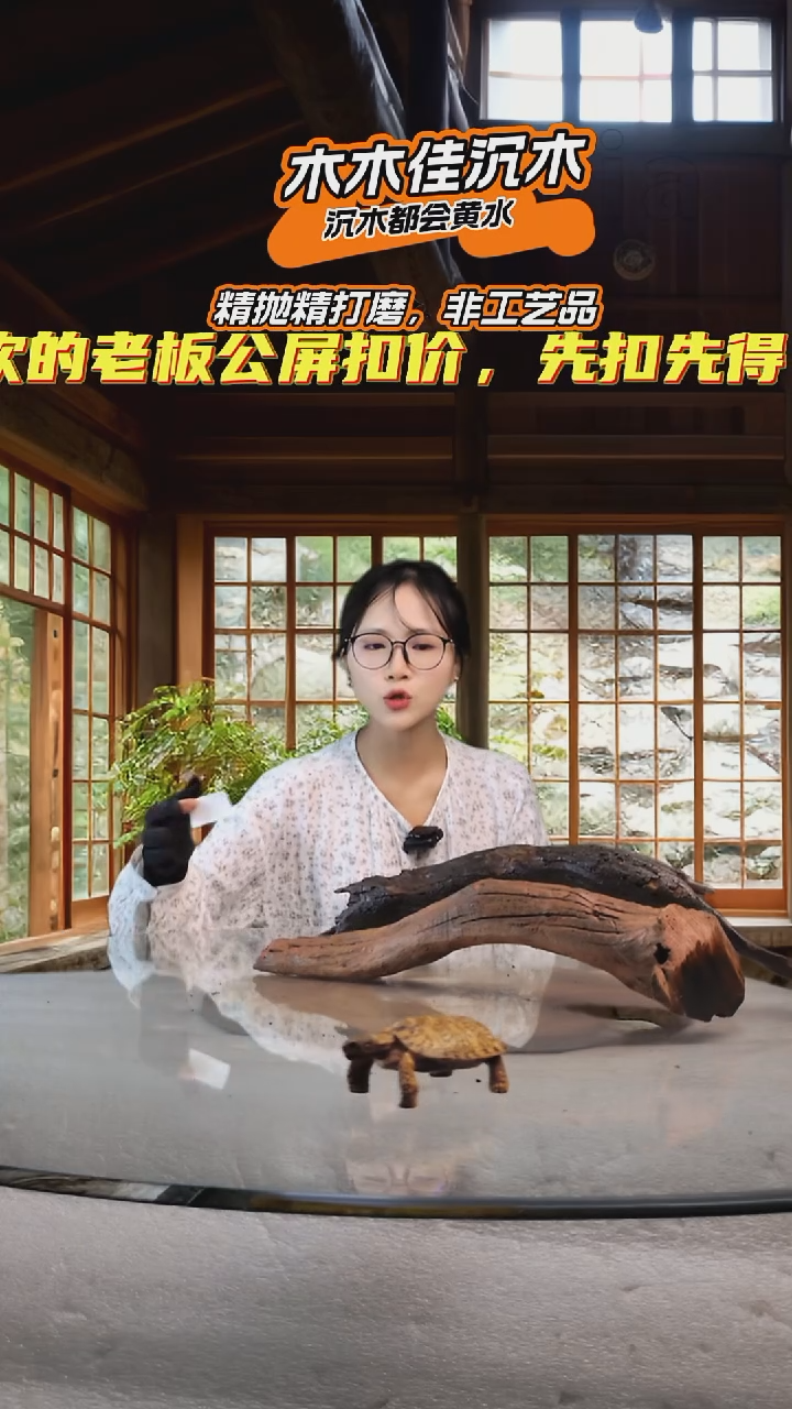 句**景木木佳鱼缸造景沉木-113