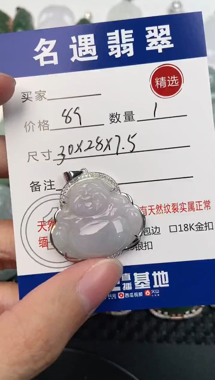 颈饰银S925镶嵌翡翠挂件