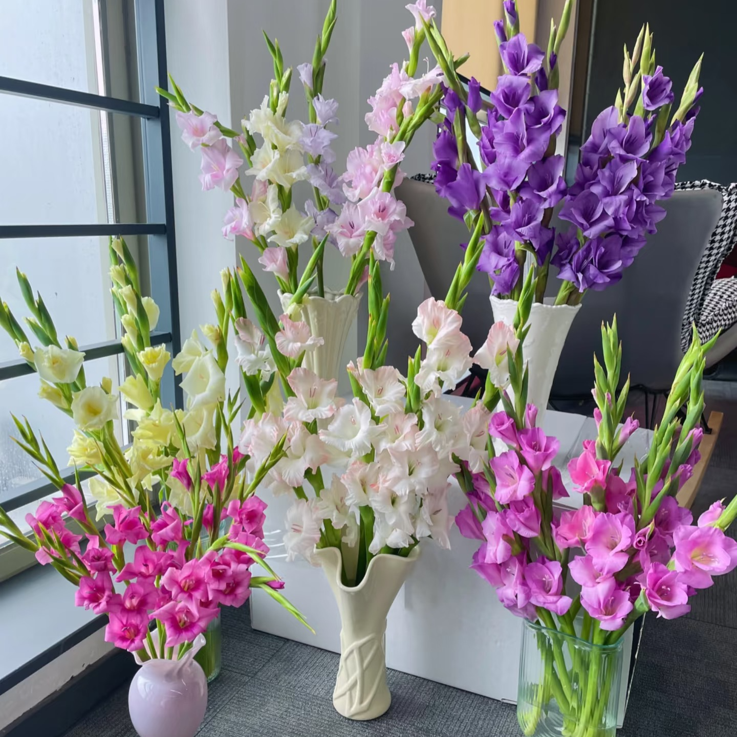 【剑兰】厦门实体鲜花批发店同城鲜花快递福建顺丰包邮