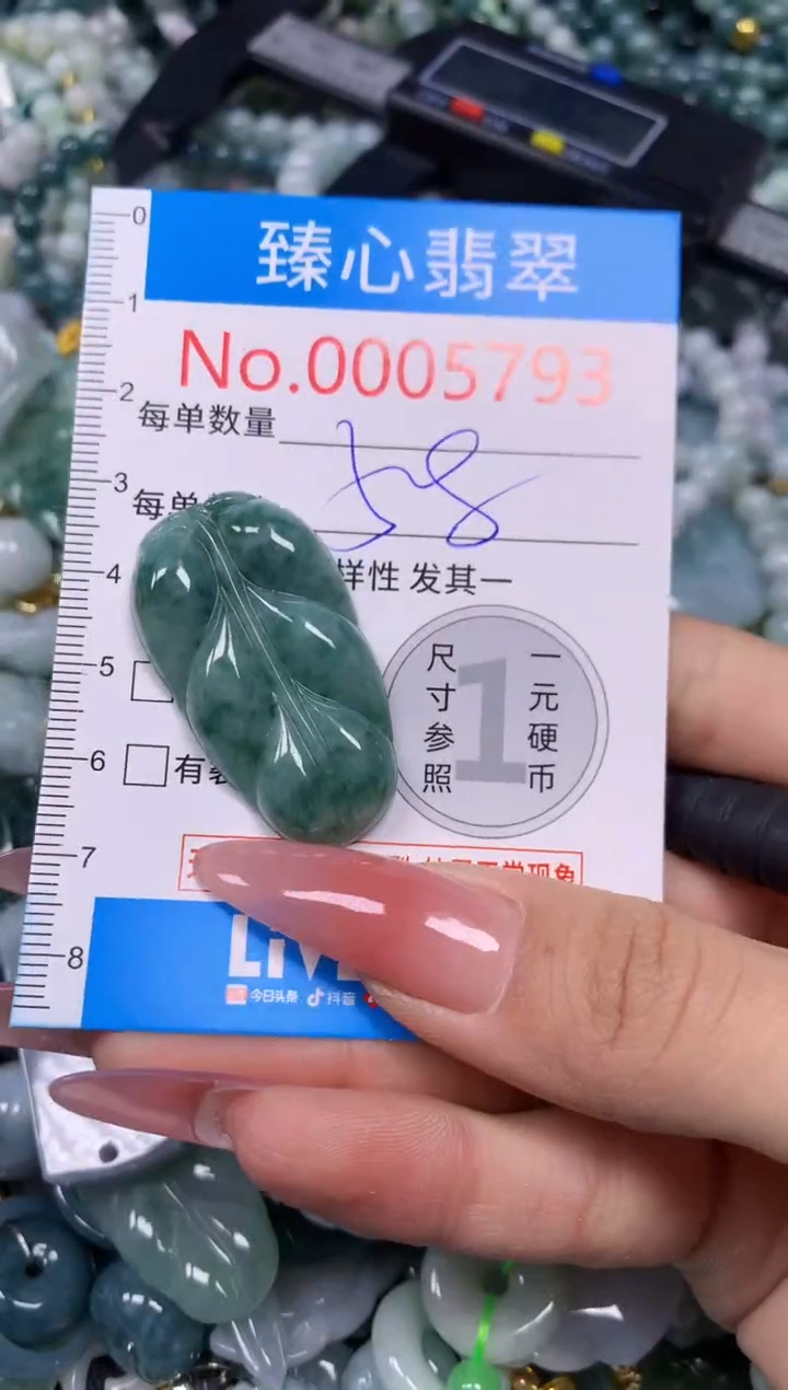 【闪购商品】翡翠颈饰未镶嵌含绳0005793