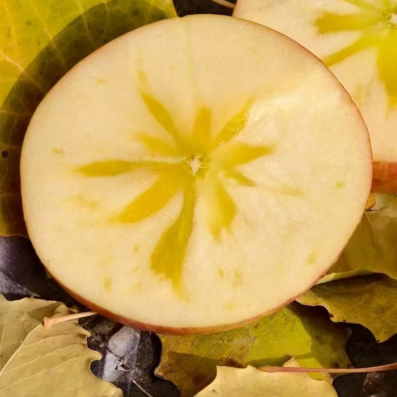 【市场直发】新疆阿克苏苹果  （散装5斤左右/带箱10斤左右）新疆维吾尔自治区