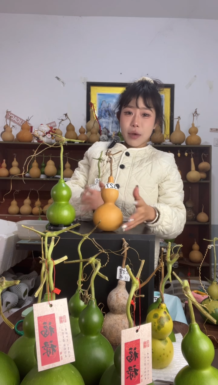 姬*327天然葫芦摆件 一物一拍龙头不保售后