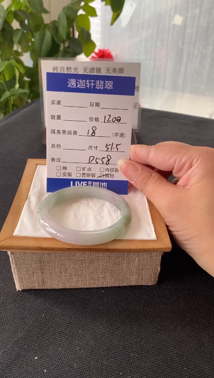 未镶嵌手镯翡翠51.9圈口 D558编码