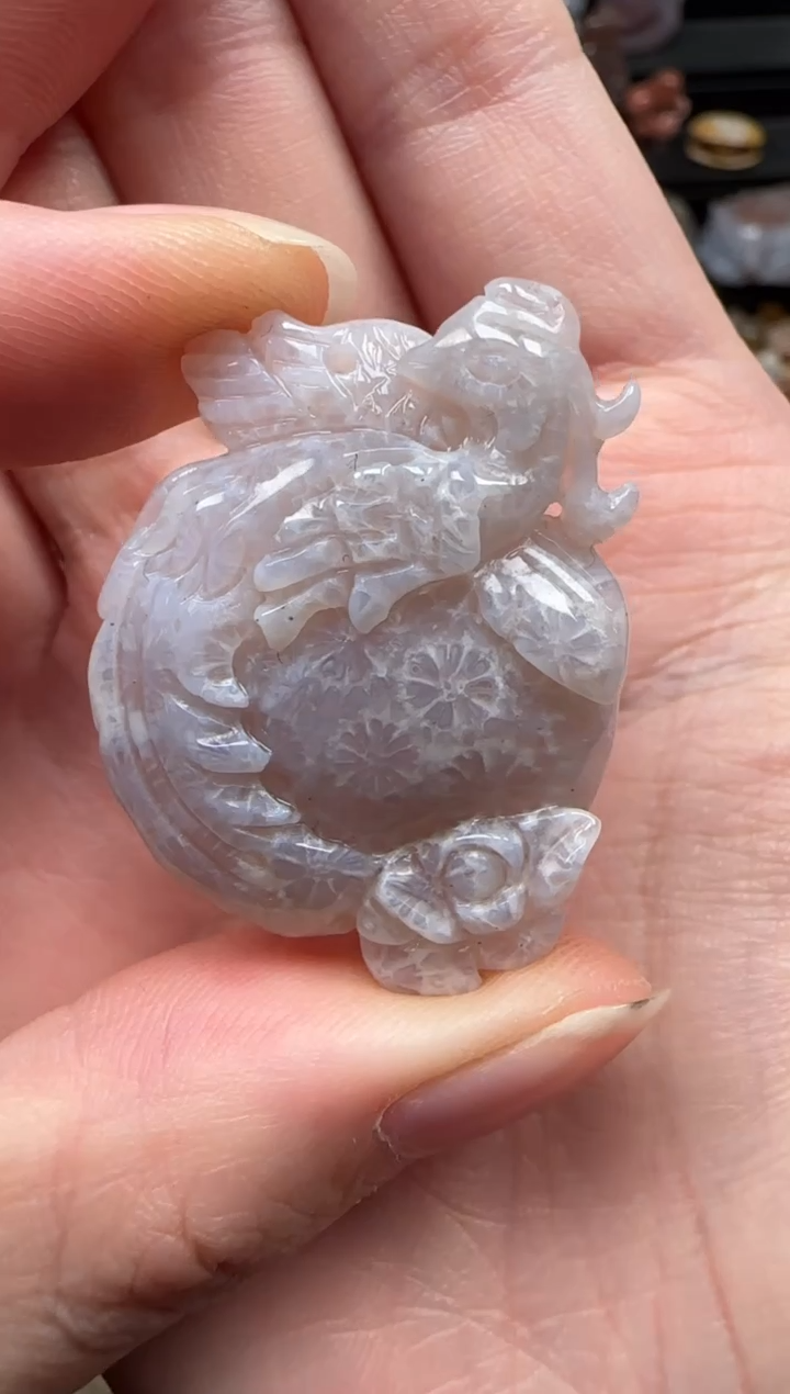 颈饰未镶嵌硅化珊瑚（珊瑚玉）098