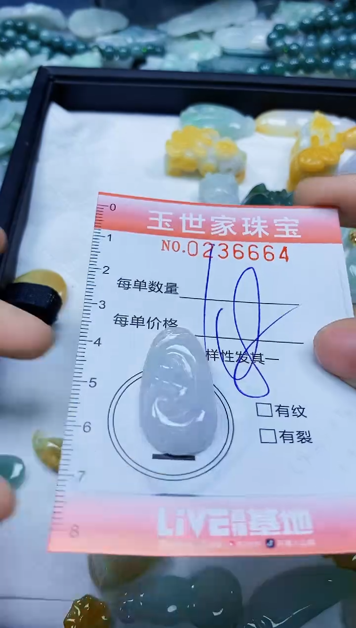 翡翠未镶嵌颈饰闪购0236664
