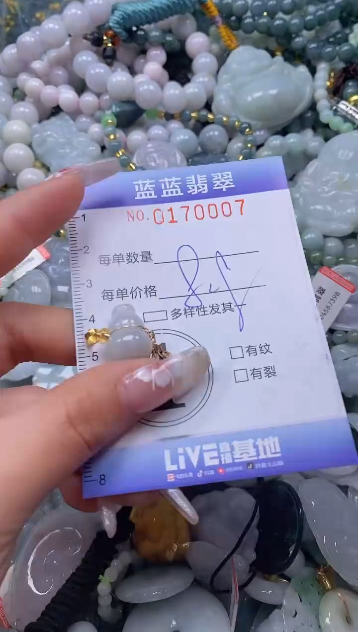 【闪购商品】翡翠颈饰未镶嵌闪购0170007