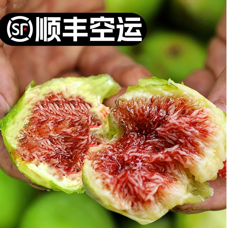 （顺丰包邮）威海青皮无花果软糯香甜自然树熟新鲜当季水果