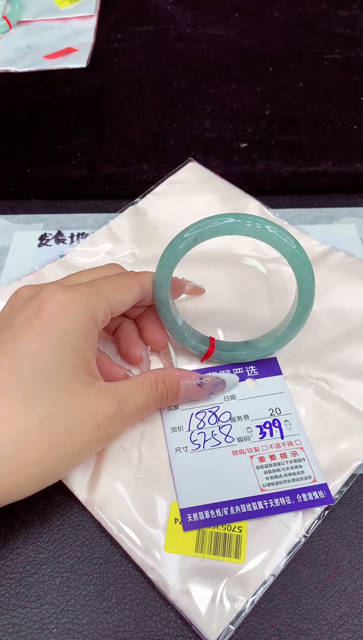 未镶嵌手镯翡翠1