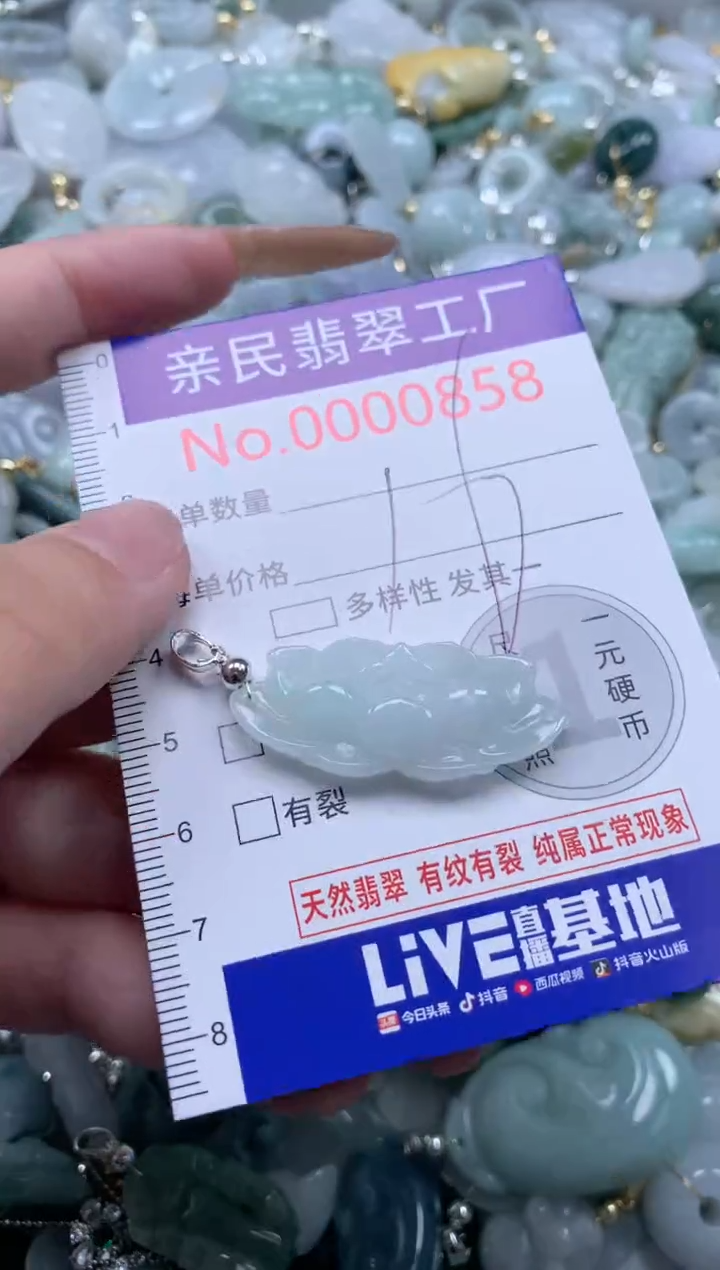 翡翠未镶嵌吊坠(不含链)858