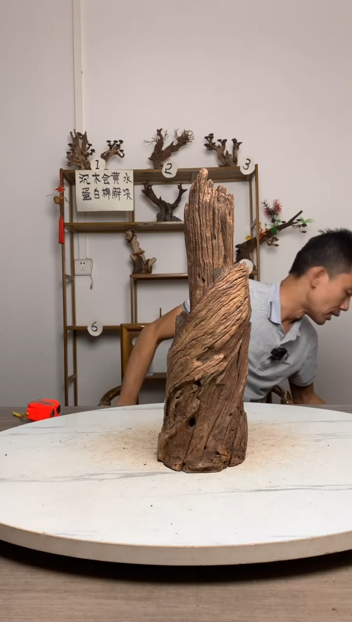 幸*花鱼缸造景沉木摆件