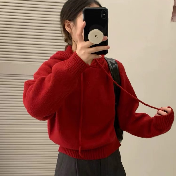 韩系简约连帽毛衣女秋冬新款温柔风宽松长袖套头针织衫欧洲站上衣