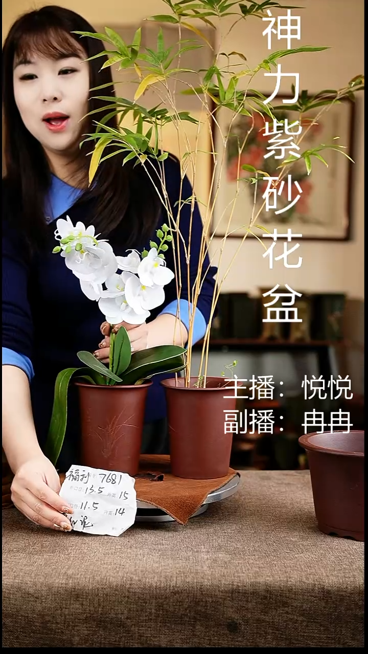 紫砂花盆花卉工艺7681