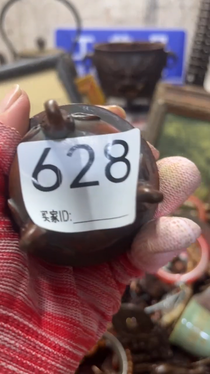 ?****柜新人直播福利多多