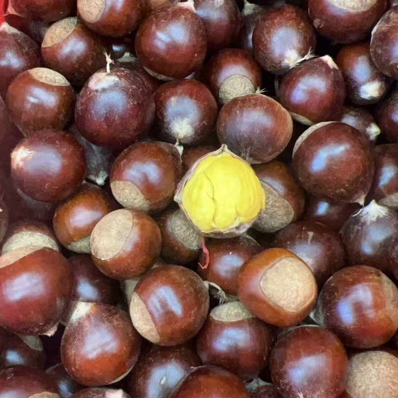 椎粟25元每斤+青甘蔗25元每根