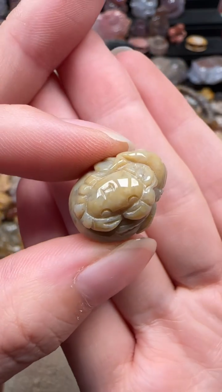 颈饰未镶嵌硅化珊瑚（珊瑚玉）103